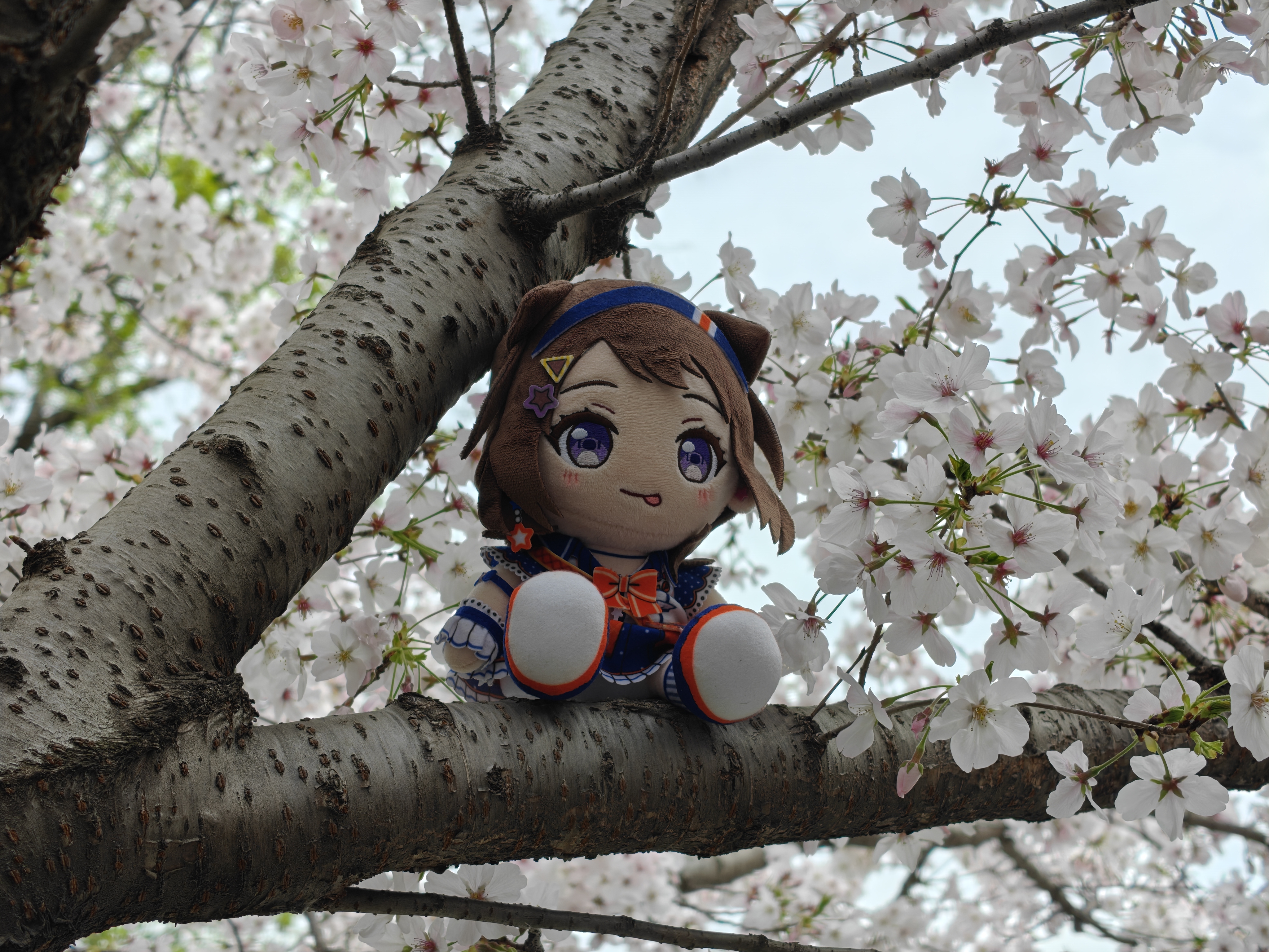 07188ffcd7627971025eb8443757a484.jpeg|400